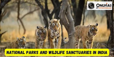 National Parks Wildlife Sanctuaries In India 2023 PWOnlyIAS