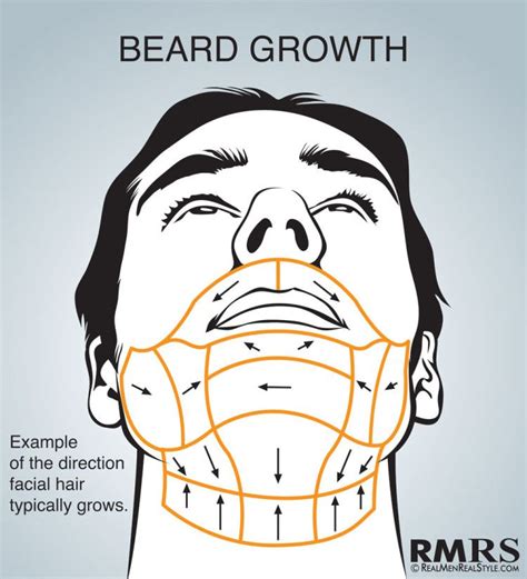 Shave Maps Infographic How To Shave Correctly Which Direction Do