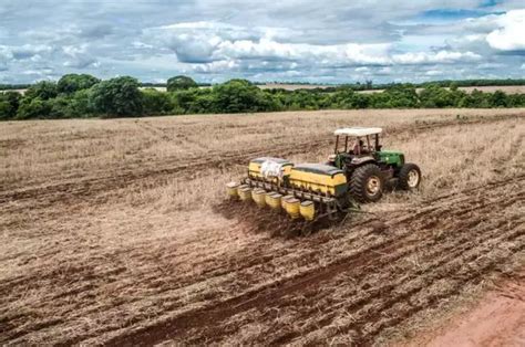 Vazio Sanit Rio Termina E Ms Tem Sinal Verde Para Iniciar Plantio Da