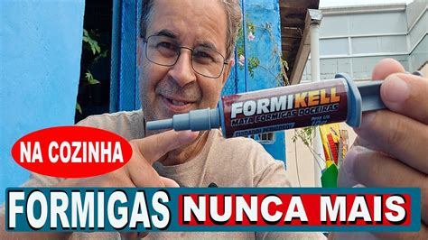 Formigas Na Cozinha Como Acabar Com Essas Formigas Youtube