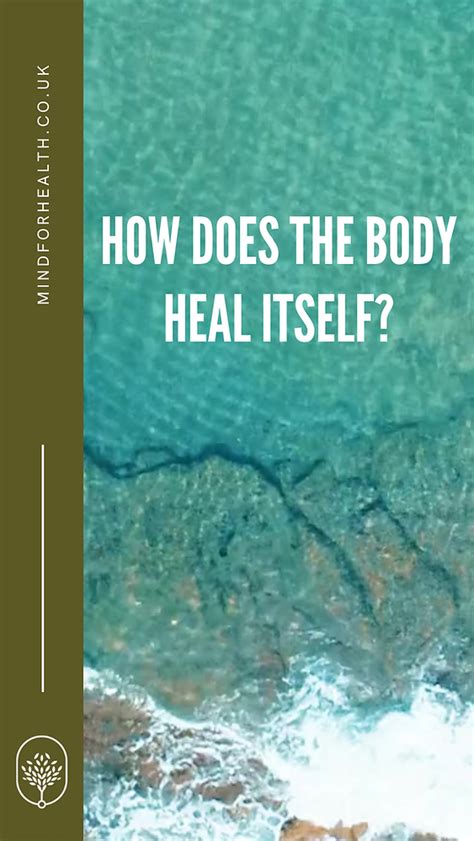 How Does The Body Heal Itself