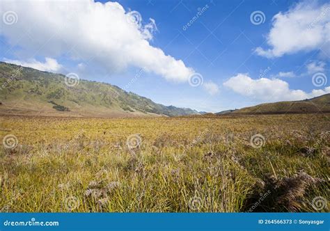 The Beauty Of Teletubbies Hill A Vast Savanna Landscape One Of The