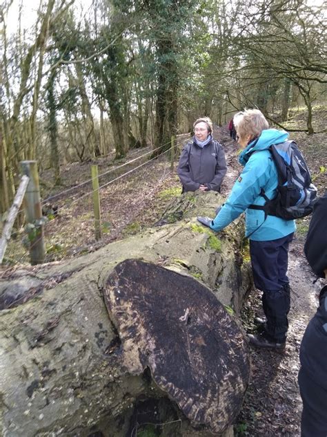 Oxted To Woldingham 9th February