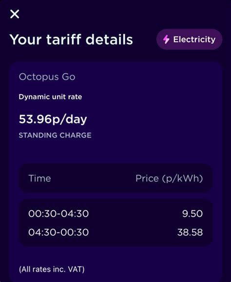 Calculating The Daily Cost Of My Electricity With The Octopus Energy