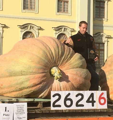 World Record Giant Pumpkin By Weight World Weigh Off Records