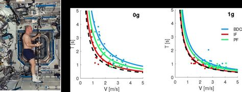 Mental imagery of object motion in weightlessness | Research ...