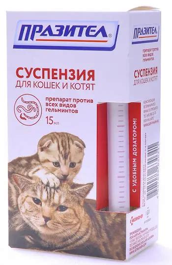 Празител для кошек: отзывы, инструкция по применению, противопоказания