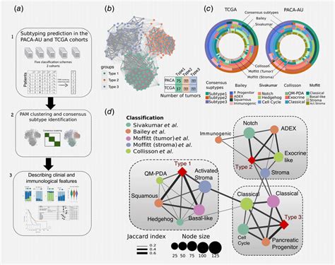 Identification Of The Consensus Subtypes Of Pdac A Analytical Download Scientific Diagram