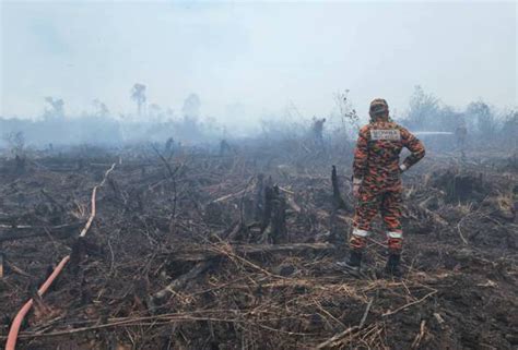 Kebakaran Tanah Gambut Di Rompin Berjaya Dipadam Operasi Dihentikan