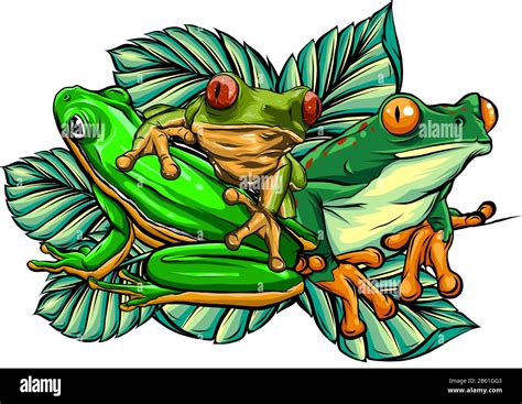 Green Frog In Different Pose Vector Illustration Stock Vector Image