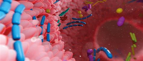 Mikrobiom Superheld Im Darm Medizin Popul R