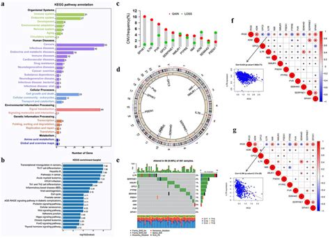 The Landscape Of Genetic Alterations Of Irg Signature Genes In Luad