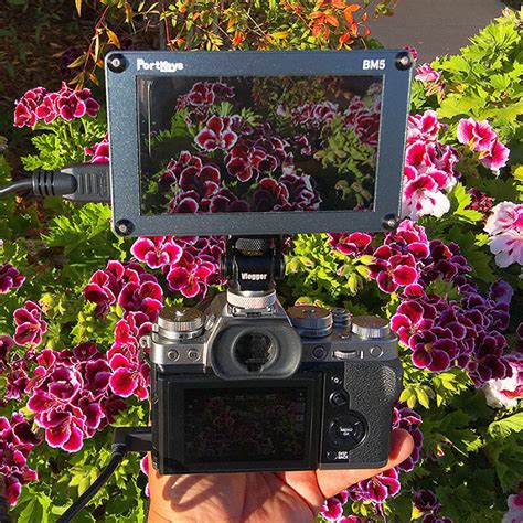 bm   sun newsshooter