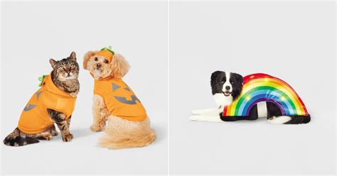 Best Dog Halloween Costumes At Target 2022 Ps Pets