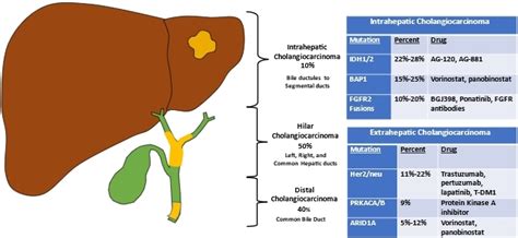 Surgical Management Of Cholangiocarcinoma