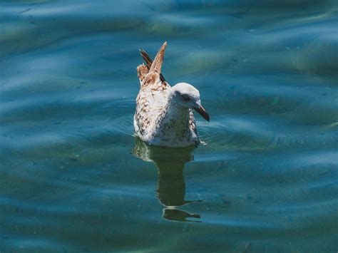 The Legacy of Gunsmoke added a... - The Legacy of Gunsmoke