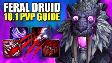 101 Feral Druid Dragonflight Pvp Guide Talents Gearing Rotation