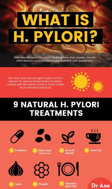 H. Pylori Natural Treatments, Symptoms, Causes, More - Dr. Axe