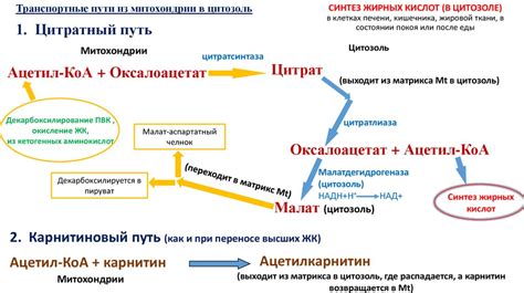 Синтез липидов - online presentation