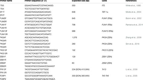 Information About Primers Used In The Experiments Download