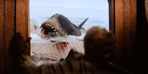 Jaws Summary, Trailer, Cast, and More