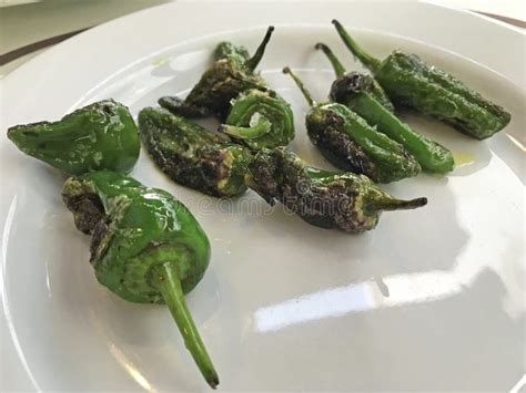 Pimentas Verdes Roasted De Padron Na Bacia Branca Imagem De Stock