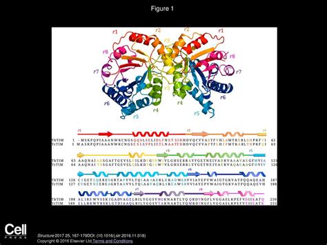 Interplay Between Protein Thermal Flexibility And Kinetic Stability