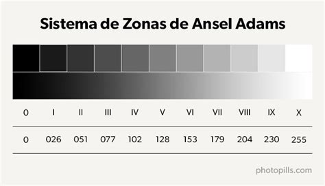 La Guía Definitiva Para Exponer Correctamente Tus Fotos ¡siempre