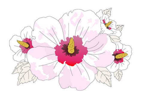 Malaysia National Flower Drawing | Best Flower Site