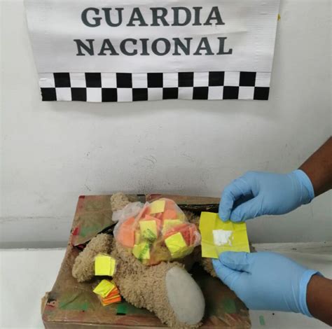 Guardia Nacional Detecta Dosis De Aparente Coca Na En Mu Eco De Peluche