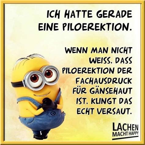 Pin Von Irina Kunz Auf Minions Minions Bilder Witzige Bilder