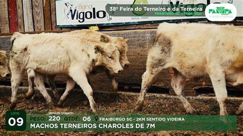 Lote 09 38ª Feira do Terneiro e da Terneira de Fraiburgo SC Mostra