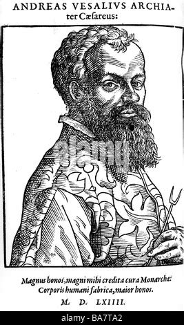 Andreas Vesalius Belgian Anatomist Woodcut From De