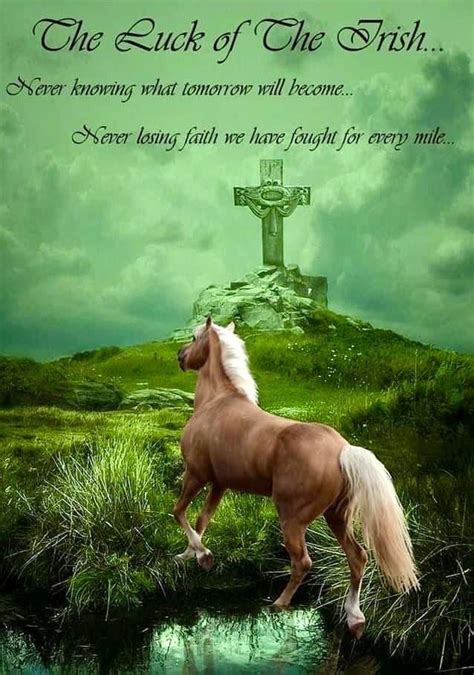 Pin By Maureen Petrula Castriotta On Irish Irish Quotes Irish Life