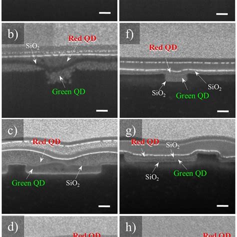 Schematic Illustration Of The Nanopatterned Qd Film Fabrication Using Download Scientific