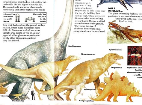 Love in the Time of Chasmosaurs: Vintage Dinosaur Art Guest Post ...