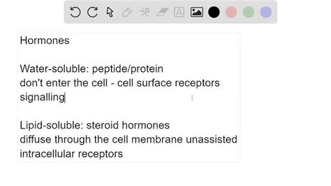 Solved Hormones Can Be Classified Based On Their Solubility Some Are