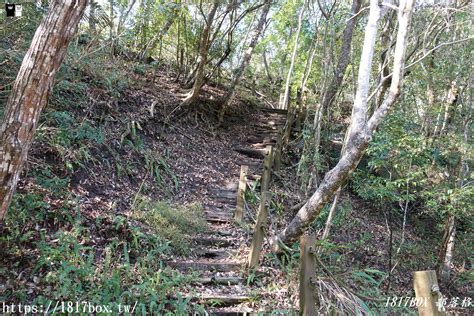 【行程規劃】苗栗泰安溫泉。鳥嘴山。水雲吊橋。虎山。享受自然芬多精 1817box部落格