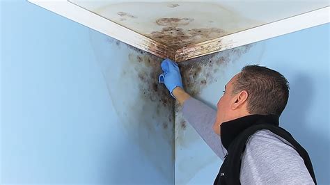 How To Paint A Bathroom Ceiling That Has Mold