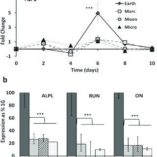 Simulated Partial Gravity Inhibits Osteogenic Differentiation In F