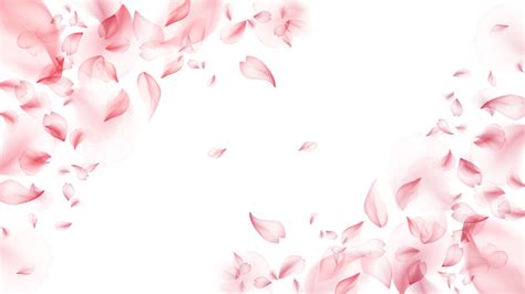 Spring Cherry Blossom Border Scattered Petals, Spring, Cherry Blossoms, Flowers PNG Transparent ...