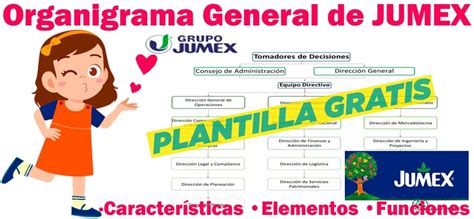 Organigrama General de Jumex 2024 Características Elementos Funciones