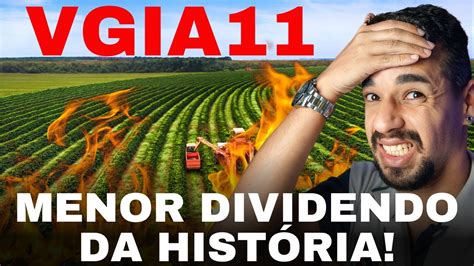 VGIA11 VALE A PENA FIAGRO ANUNCIA MENOR DIVIDENDO DA HISTÓRIA QUEDA