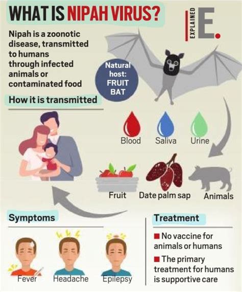 Ciri Ciri Dan Cara Penyebaran Virus Nipah Yang Wajib Diketahui Disebut