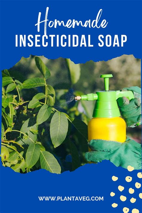 Homemade Insecticidal Soap A Cost Effective Solution Plant A Veg