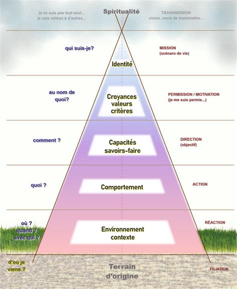 Les Niveaux Logiques De La Pnl Sant Psychique Coaching