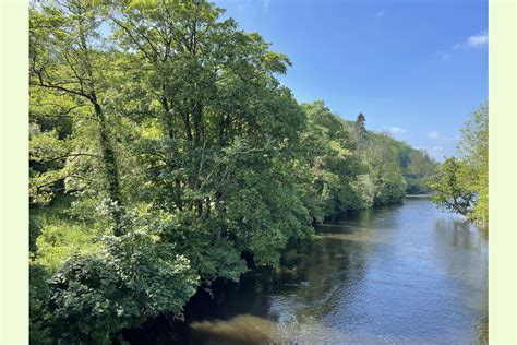 River Teifi Woodlands Abercych Pembrokeshire Wales And The Welsh