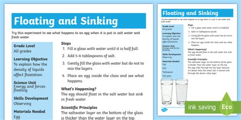 Floating Egg Science Experiment Teacher Made