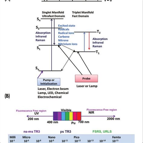 Pdf Time Resolved Resonance Raman Spectroscopy Exploring Reactive