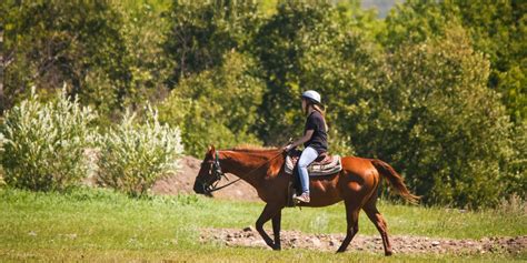 Update On 2021 Day Camps Intervarsity Circle Square Ranch Spruce Woods